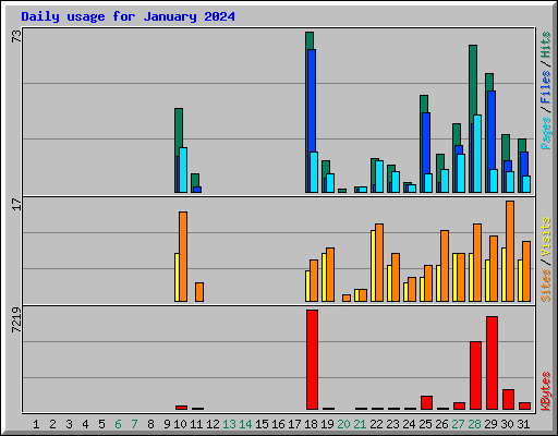 Daily usage for January 2024