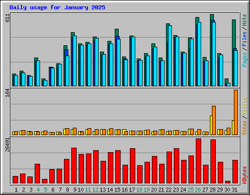 Daily usage for January 2025