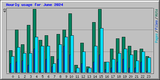 Hourly usage for June 2024