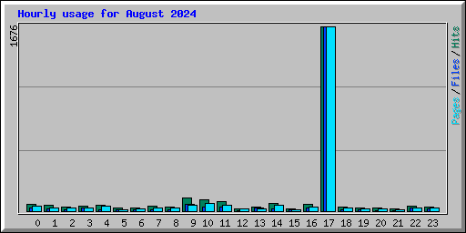 Hourly usage for August 2024