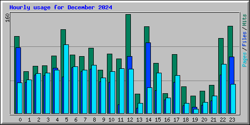 Hourly usage for December 2024