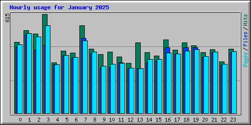 Hourly usage for January 2025